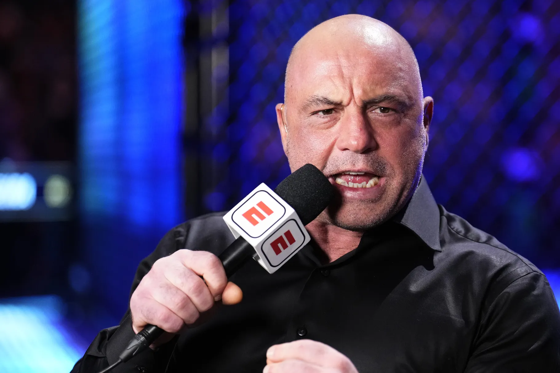 Joe Rogan, UFC kickboks etkinliğine yorum yapmayı teklif ediyor. / Kickboks Haberleri