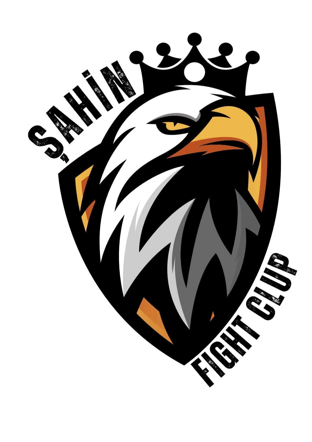 Şahin fight clup spor salonu