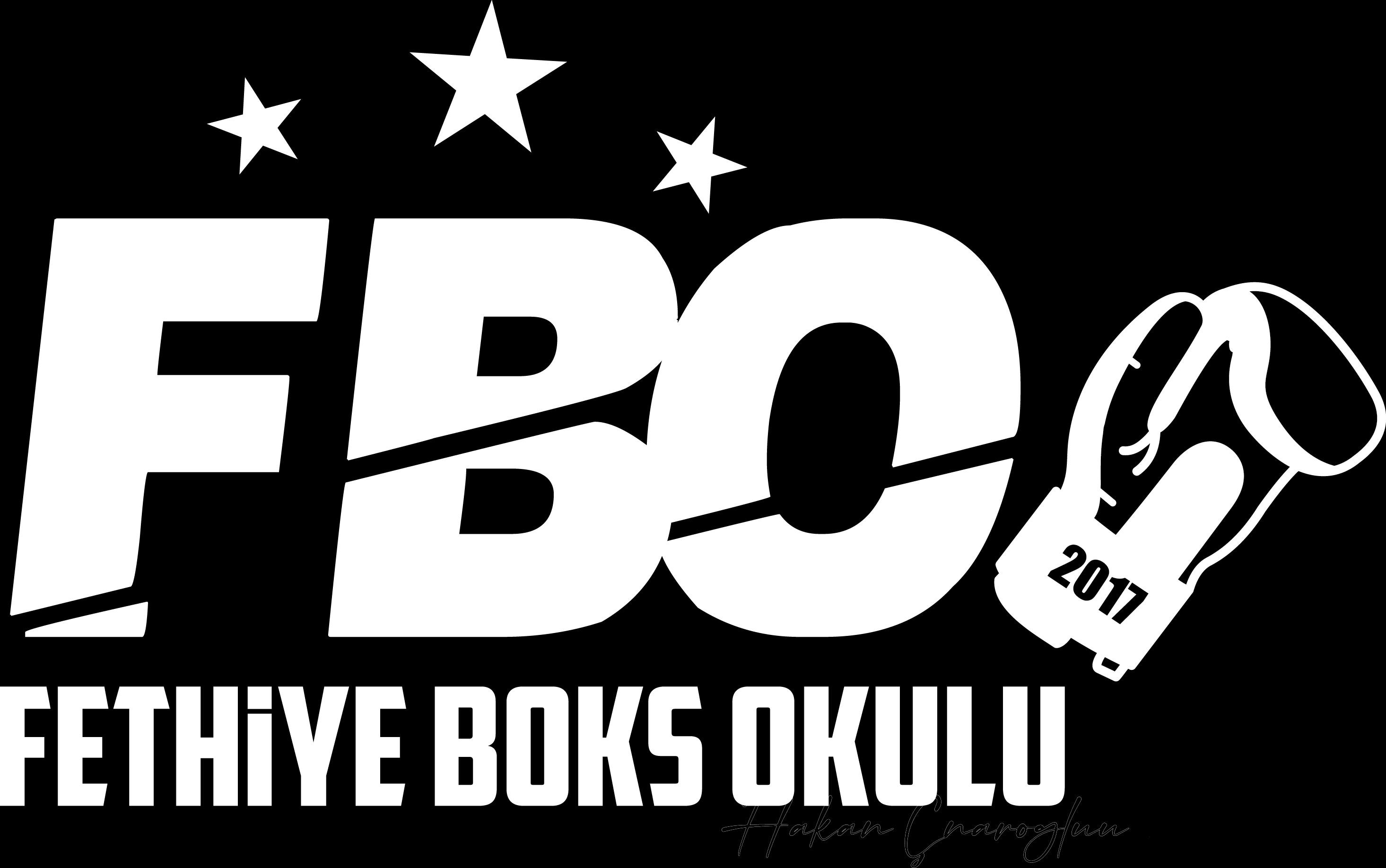 FETHİYE BOKS OKULU